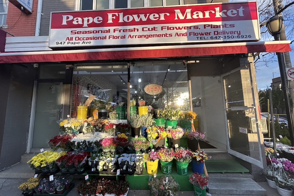 papeflowers-papevillage